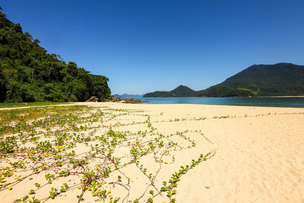 ilha-do-prumirim (6).jpg