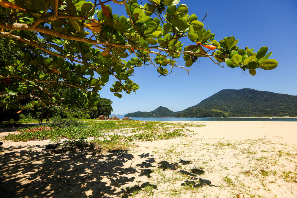 ilha-do-prumirim (17).jpg