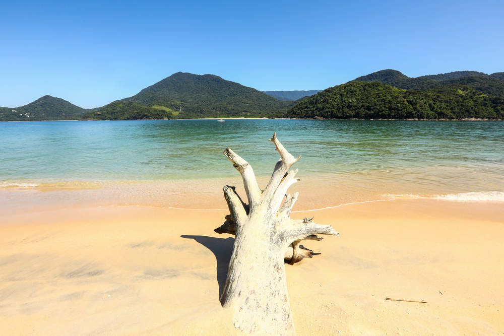 ilha-do-prumirim (13).jpg